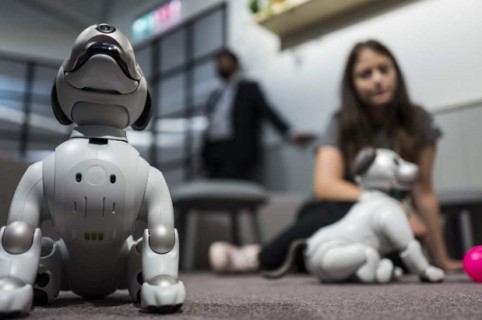 Perro robot en la Feria IFA 2018