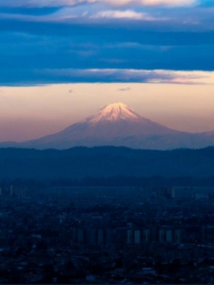 Bogotá