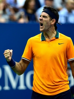 Djokovic y Del Potro