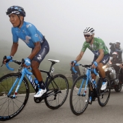 Nairo Quintana y Alejandro Valverde