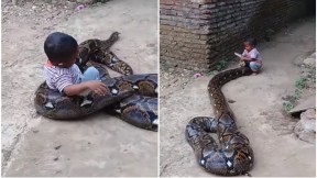 Niño juega con serpiente.