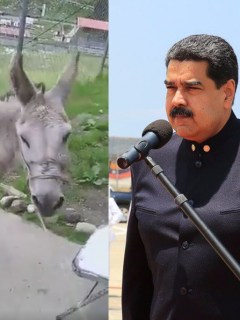 Nicolás Maduro