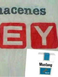 Ley y Mustang