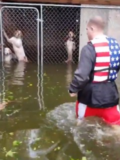 Rescate de perros
