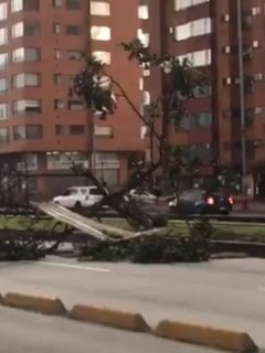 Transmileno
