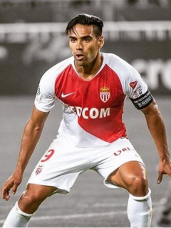 Falcao