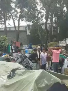 El Bosque