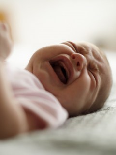 Bebé