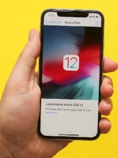 Celular con iOS 12