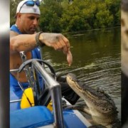 Hombre alimentando cocodrilo