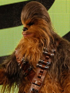 Solo