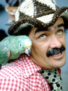 Don Chinche