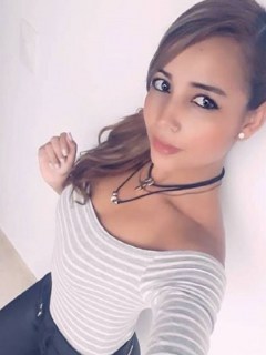 Modelo webcam