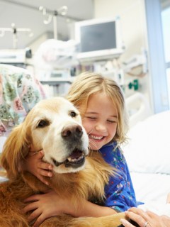 Perro doctor