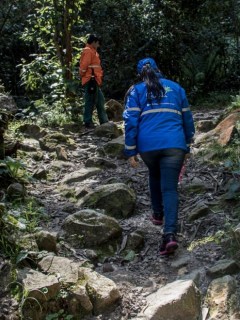 Quebrada La Vieja