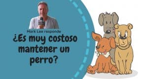 Adoptar perros