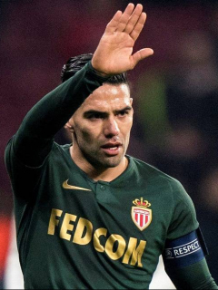 Falcao
