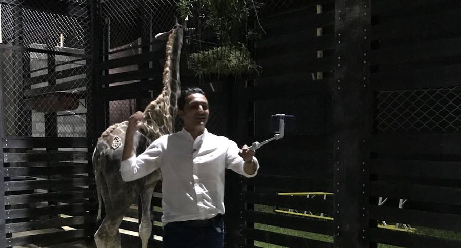 Juan Pablo Gallo y jirafa