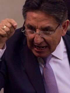 Fiscal general