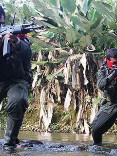 Guerrilla del Eln