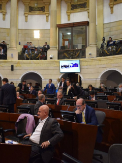 Plenaria del Senado aprobó el art. 52 como viene en la ponencia