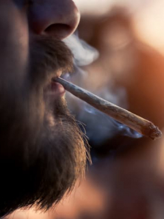 Marihuana