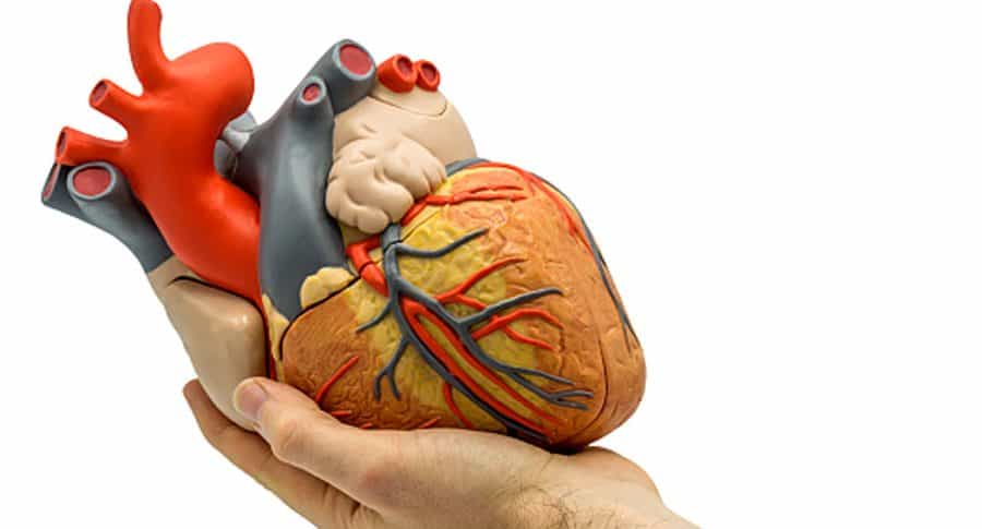 Corazón