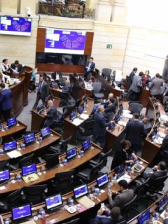 Plenaria del Senado, durante la discusión de la ley de financiamiento.