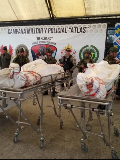 Cuerpos de los disidentes de las Farc