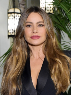 Sofía Vergara / Nick Loeb