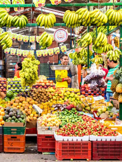 Plaza de mercado Paloquemao