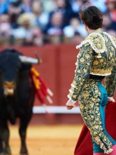 Toros