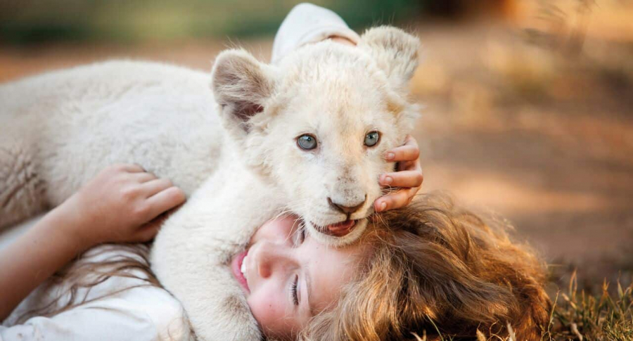 Mía y el león