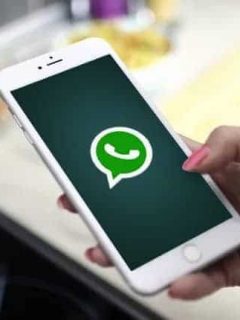 Celular