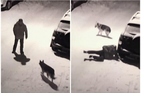 Hombre intenta patear a perro.