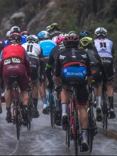 Pelotón de ciclistas en competencia