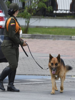 Policía