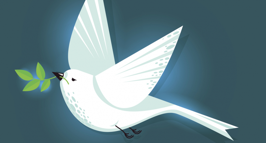 Pájaro trinador de paz