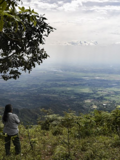 Combates, conflicto armado