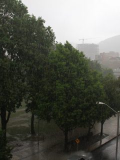Lluvias