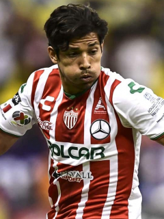 Matías Fernández