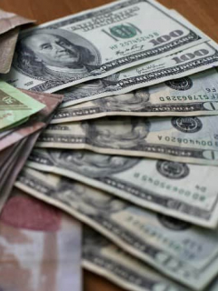 Bolivares y dólares