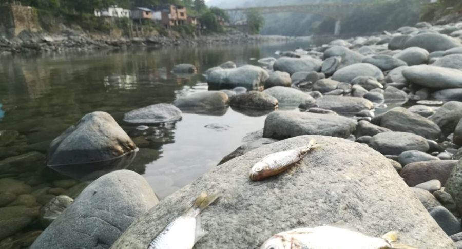 Río Cauca