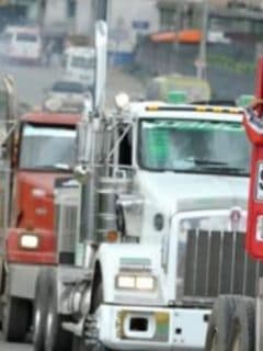 Transportadores de carga