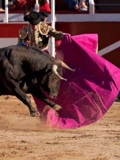Corrida de toros