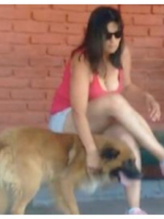Perro abandonado