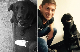 Mascota de Emiliano Sala