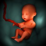 concepto de niño pequeño en el útero