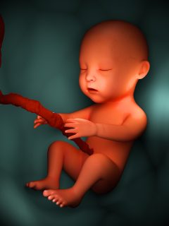 concepto de niño pequeño en el útero