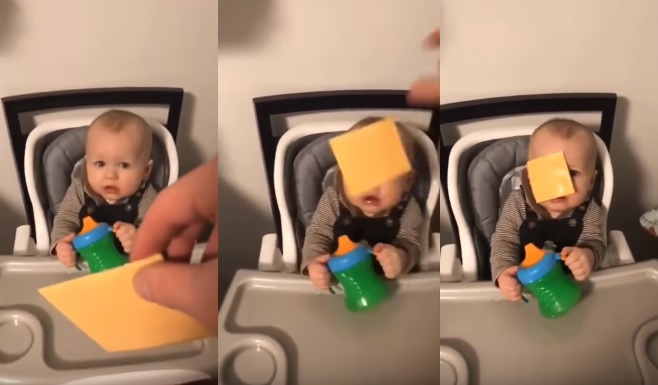 Cheesed challenge